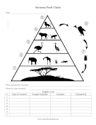Savanna Food Chain
