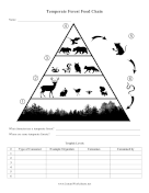 Temperate Forest Food Chain
