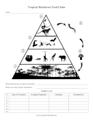 Tropical Rainforest Food Chain